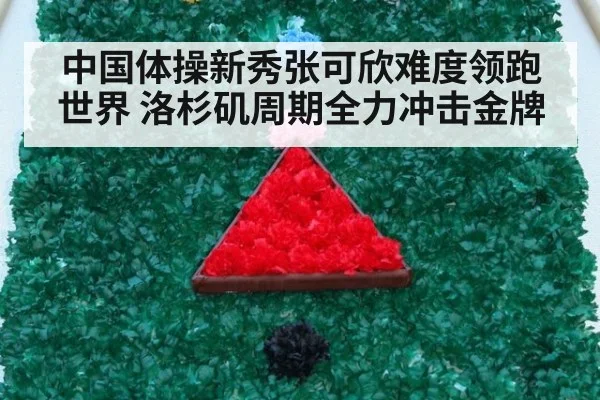 中国体操新秀张可欣难度领跑世界 洛杉矶周期全力冲击金牌